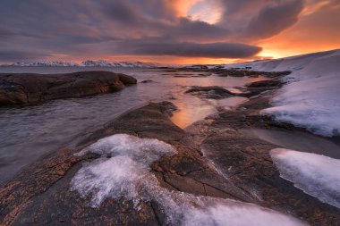 Kıyıdaki kayalar buzla kaplı, Kola Yarımadası, Barents denizi, Murmansk bölgesi, Rusya