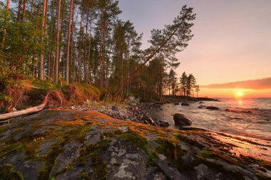 Rusya 'nın Karelia Cumhuriyeti' ndeki Onega Gölü 'nde güneş tarafından aydınlatılmış taş kıyısı.
