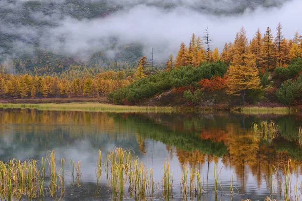 Foggy Morning Lake Forest Tundra Jack London Lake Kolyma Russia — Stock Photo, Image