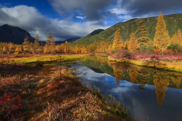 Zlatý Podzim Potoka Horách Kolyma Magadan Region Rusko — Stock fotografie