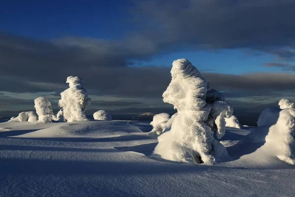 Árboles Cubiertos Nieve Las Montañas Día Soleado Península Kola Rusia —  Fotos de Stock