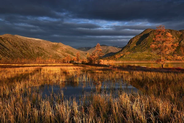Goldener Herbst Bergsee Kolyma Jack London Lake Magadan Region Russland — Stockfoto
