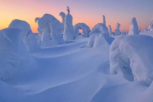 Árboles Nieve Laderas Montaña Laponia Finlandia —  Fotos de Stock