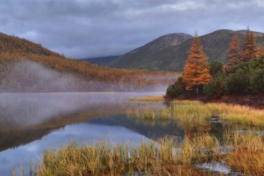 Dağ Gölü 'nde altın sonbahar, Kolyma, Jack London Gölü, Magadan bölgesi, Rusya