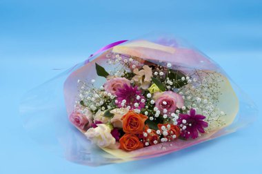 Mavi arka planda izole edilmiş güzel çiçekler. Uzayı kopyala Yatay çekim.