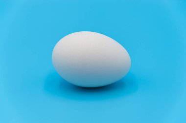Yumurta mavi arka planda izole edildi. Ön manzara. Yatay çekim.