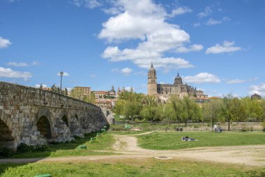 Katedraller Tormes Nehri'nin kıyısında ilkbaharda görülen Salamanca