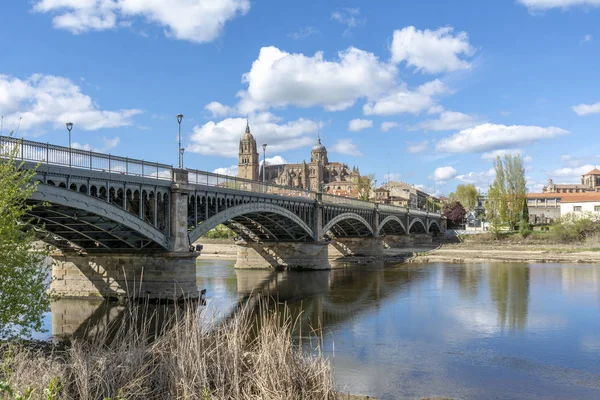 Domkyrkorna Salamanca Sett Från Banken Floden Tormes Våren — Stockfoto