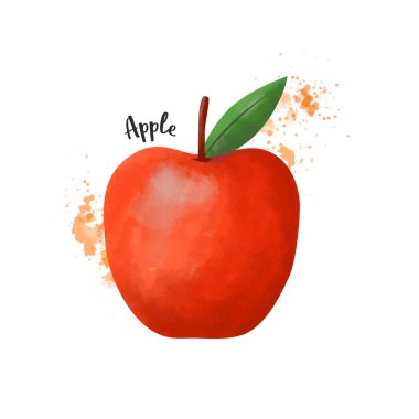 Elmanın suluboya desenli çizim vektörü