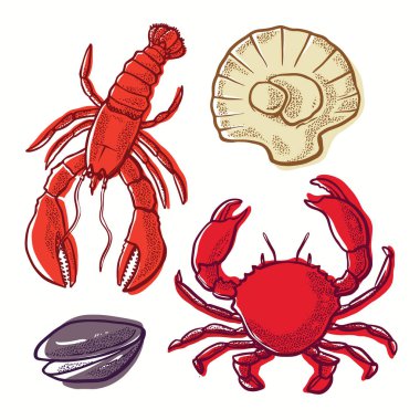 Deniz ürünleri çizgisi sanat renginin resimli vektörü