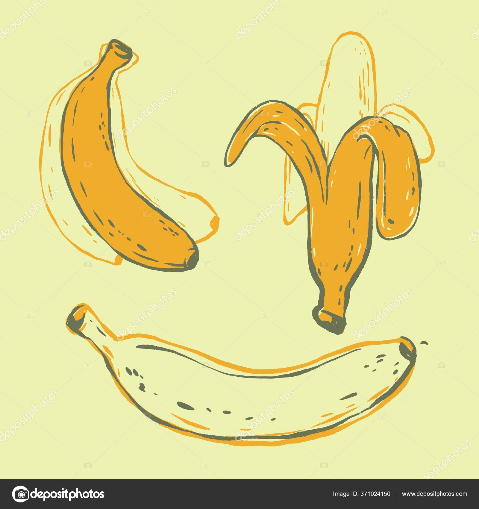 Banana Line Drawing Stock Vectors Royalty Free Banana Line Drawing Illustrations Page 5 Depositphotos