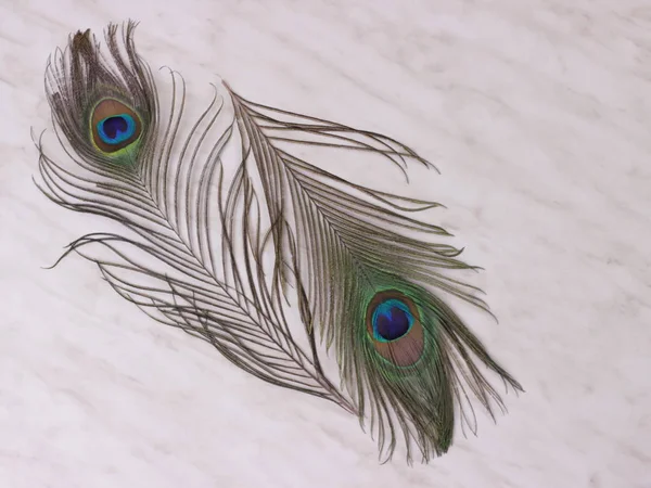 Clothing and home decoration. Peacock feathers on light marble background. Diagonal location. Top view with copy space for text. — Stock Photo, Image
