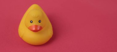 Bebek banyosu konsepti. Pankart. Şirin çocuklar pembe arka planda plastik ördek oyuncağı ve fotokopi alanı..