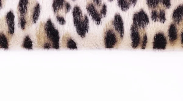 Beautiful leopard faux fur on white. Texture or background concept. Close up. Copy space mock up.Banner. — Stock Photo, Image