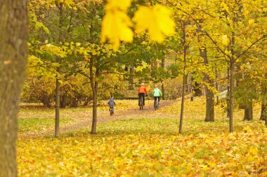 Parkta parlak altın yaprakları olan güzel bir sonbahar manzarası. Aile düşerken bisiklete binmek doğal arka plan bırakır. Aile eğlencesi. Sonbahar sezonu kavramı.