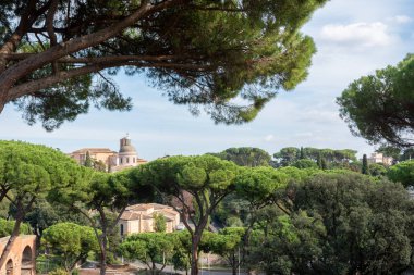 Yeşil Akdeniz bitkileri arasında antik Roma binası