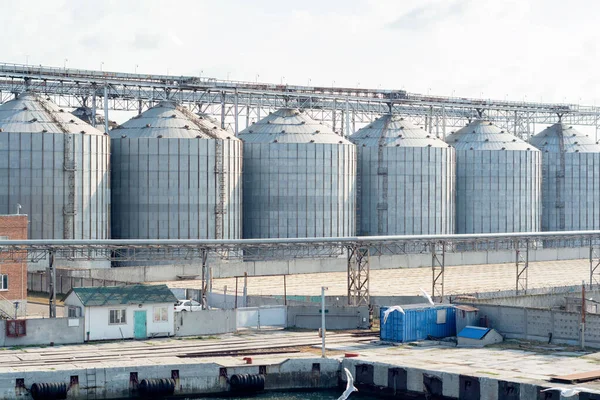 Здание зернохранилища, склад зерна или масла в морском порту на промышленном предприятии — стоковое фото