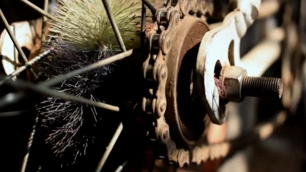 Cykelkedja Körs Cirkel Paddling Bakhjulsutsikt Med Närbild Cykel Reparera Videoklipp — Stockvideo
