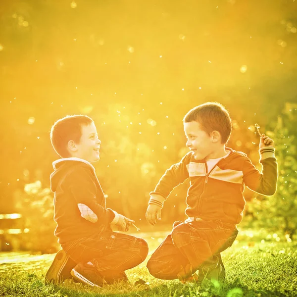 Felizes dias de verão — Fotografia de Stock