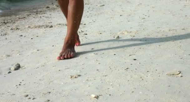 Vacker kvinna strosar en Tropical Beach — Stockvideo