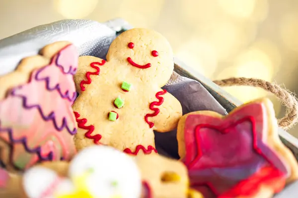 Gedecoreerde peperkoek koekjes — Stockfoto