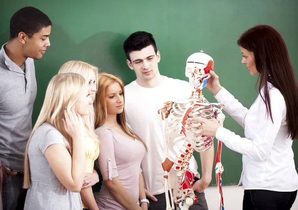 Étudiants en classe d'anatomie — Photo