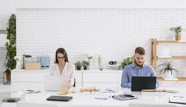 Colegas trabajando juntos — Foto de Stock