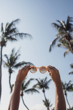Güneş gözlüğü ve palmiye ağaçları