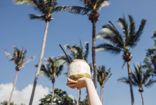 Coconut Milk and Palm Trees