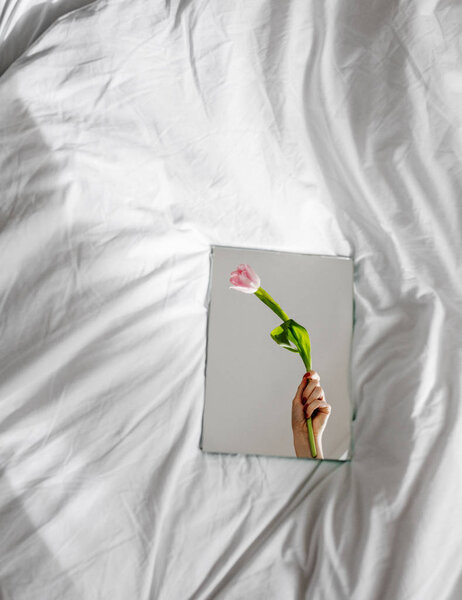 Flower in Mirror — Stock Photo, Image