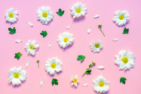 Beyaz kasımpatı çiçeklerinden, yeşil yapraklardan ve pastel pembe arka planda beyaz yapraklardan yapılmış desen