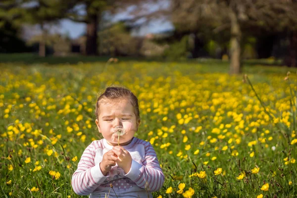 Young girl blowing dandelion on meadow, summer day, blurred background — Stock Photo, Image