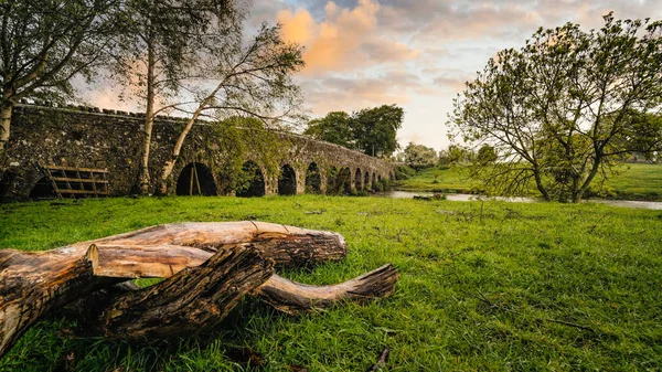 Кам'яний арочний міст 12-го століття через річку. Count Meath, Ireland — стокове фото