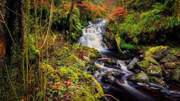 Glenariff Orman Parkı 'ndaki Şelale Yolu, Antrim İlçesi. Kuzey İrlanda 'da yürüyüş
