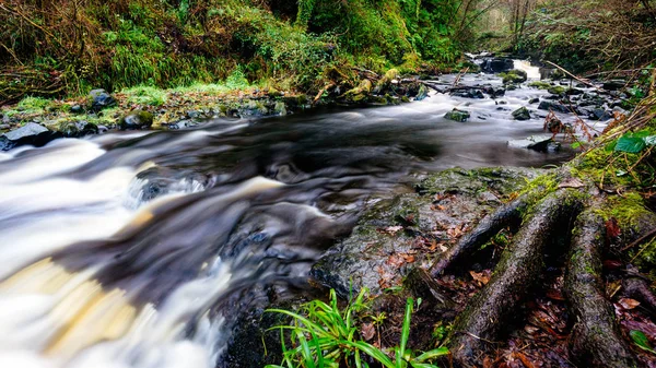 Водопад Тропа в Гленариф Форест Парк, графство Антрим. Пешие прогулки в Северной Ирландии — стоковое фото