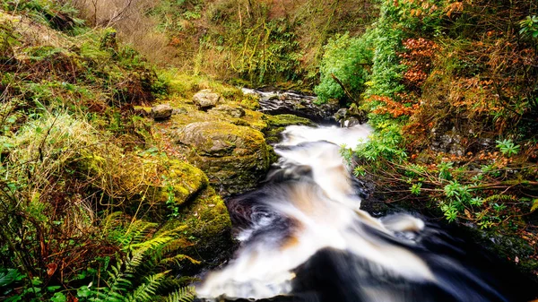 Водопад Тропа в Гленариф Форест Парк, графство Антрим. Пешие прогулки в Северной Ирландии — стоковое фото