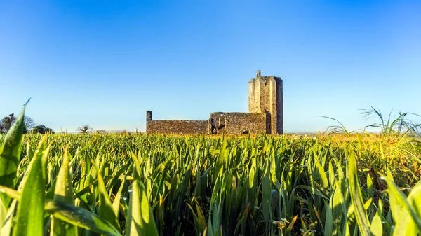 Руїни середньовічного Балдунганського замку і церкви, Скеррі, Ірелад — стокове фото