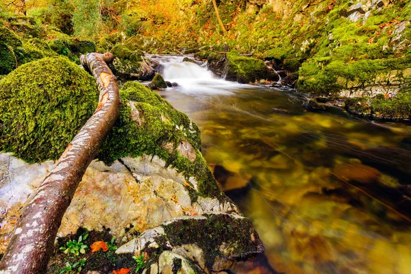 Cascades on a mountain stream with mossy rocks in Tollymore Forest Park — 图库照片