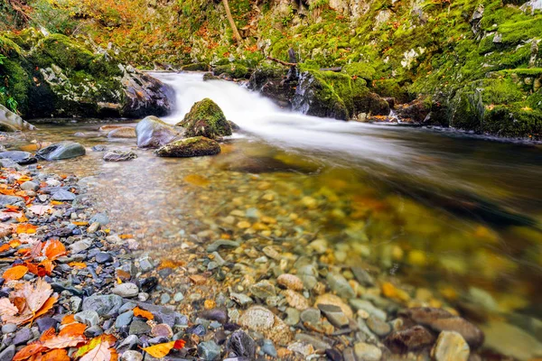 Cascadas en un arroyo de montaña con rocas musgosas en Tollymore Forest Park —  Fotos de Stock