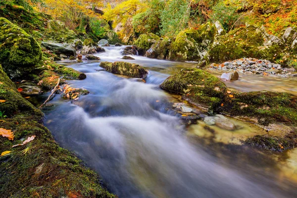 Cascades on a mountain stream with mossy rocks in Tollymore Forest Park — 图库照片