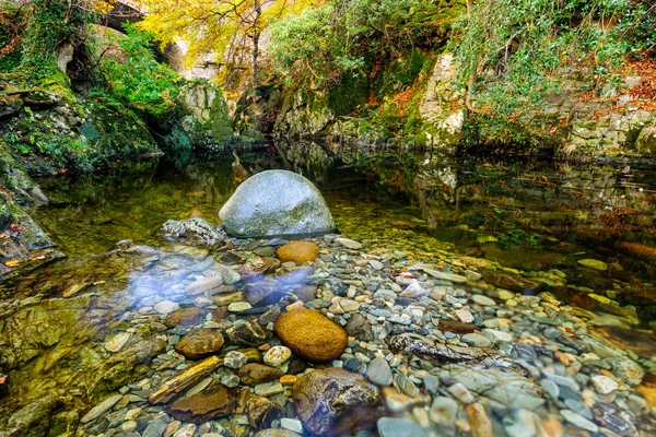 Спокойный пруд с мокрыми круглыми камнями, мшистый и скалистый берег реки в лесном парке Толлимор — стоковое фото