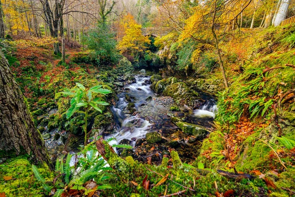 Cascades on a mountain stream with mossy rocks in Tollymore Forest Park — 图库照片