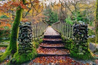 Two stone pillars of old wooden bridge with mossy rocks in Tollymore Forest Park clipart