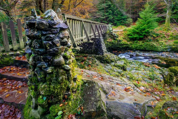 Tollymore Orman Parkı 'nda yosun kayaları olan eski ahşap köprünün taş sütunları.