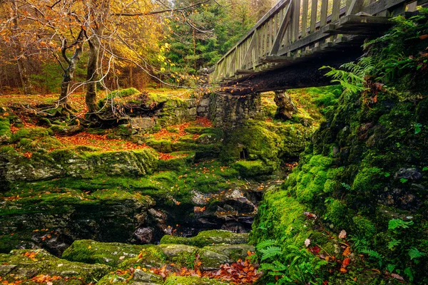 Two stone pillars of old wooden bridge with green mossy rocks in Tollymore Forest Park — 스톡 사진