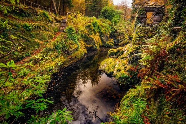 Stenport av gamla stigen med flod nedanför och gröna mossiga klippor i Tollymore Forest Park — Stockfoto