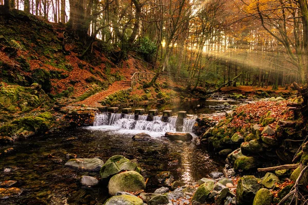 Cascade on river and footpath with sunbeams shining through branches in golden coloured autumn trees — Stok fotoğraf