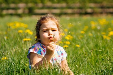 Genç, Kafkasyalı beyaz kız çayırda karahindiba üflüyor, yaz günü bir sürü sarı çiçekle tarlada oturuyor.