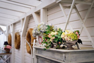 Bahçe rafındaki saksıdaki çiçeklere özen göster, eski tarz veranda.