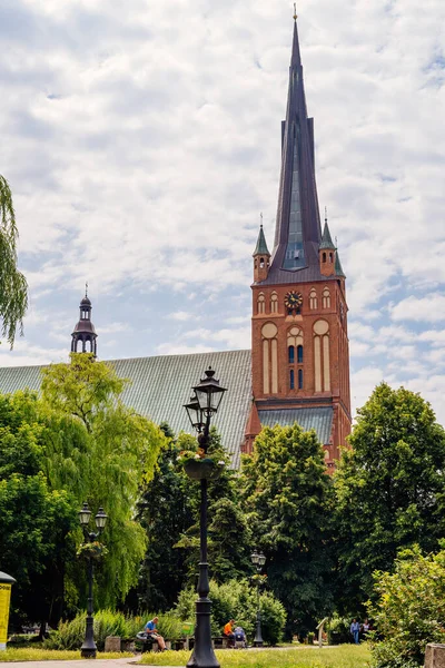 Чецин Польша Июнь 2018 Года Люди Отдыхают Парке Перед Кафедральным — стоковое фото